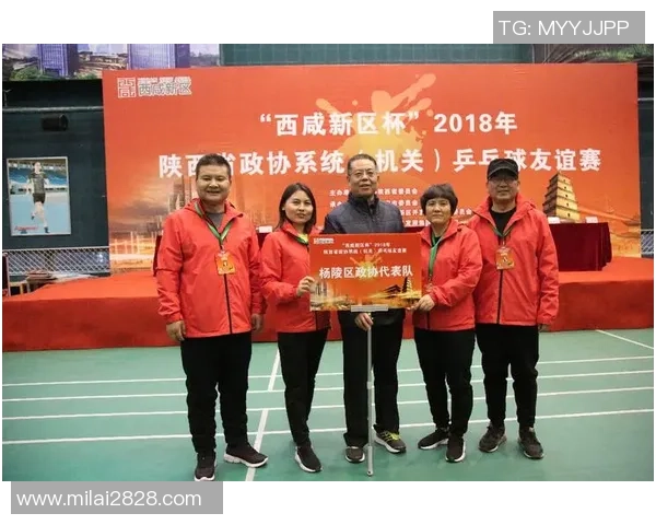 西安乒乓球队实力分析与表现评估探讨