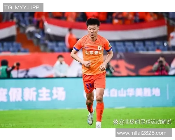 足球巡游者的荣耀之路：从草根到巅峰的传奇旅程