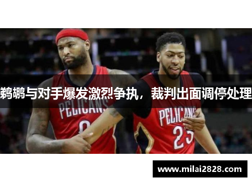 鹈鹕与对手爆发激烈争执，裁判出面调停处理